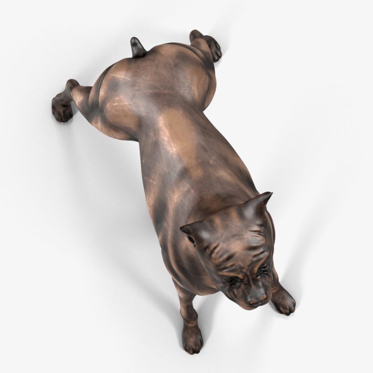 dog-1-750×932