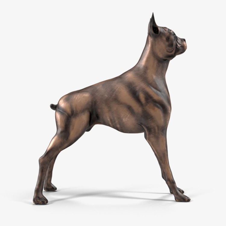 dog-1-750×932